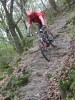 Wupperberge